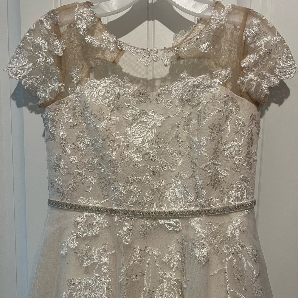 David’s Bridal gown